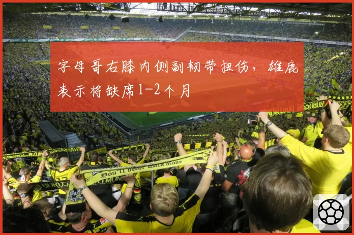 字母哥右膝内侧副韧带扭伤,雄鹿表示将缺席1-2个月