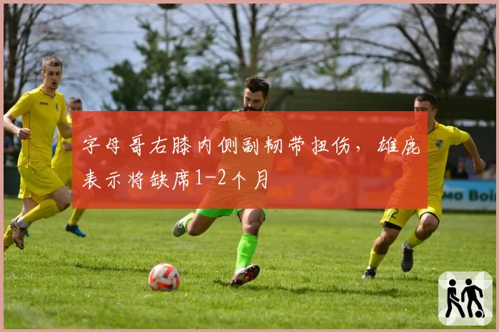 字母哥右膝内侧副韧带扭伤,雄鹿表示将缺席1-2个月