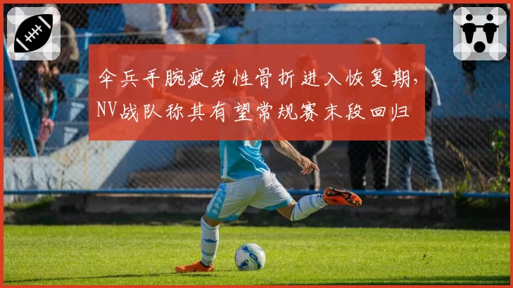 伞兵手腕疲劳性骨折进入恢复期，NV战队称其有望常规赛末段回归